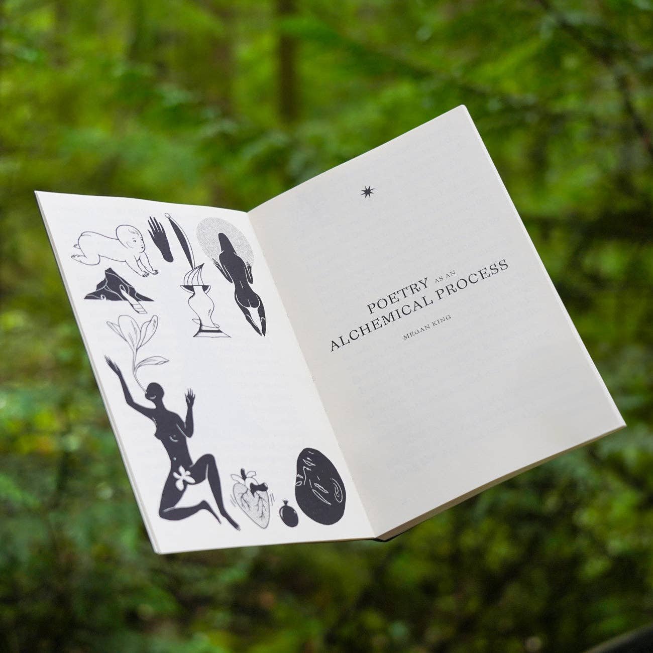 Poesis - Visions in Verse Book
