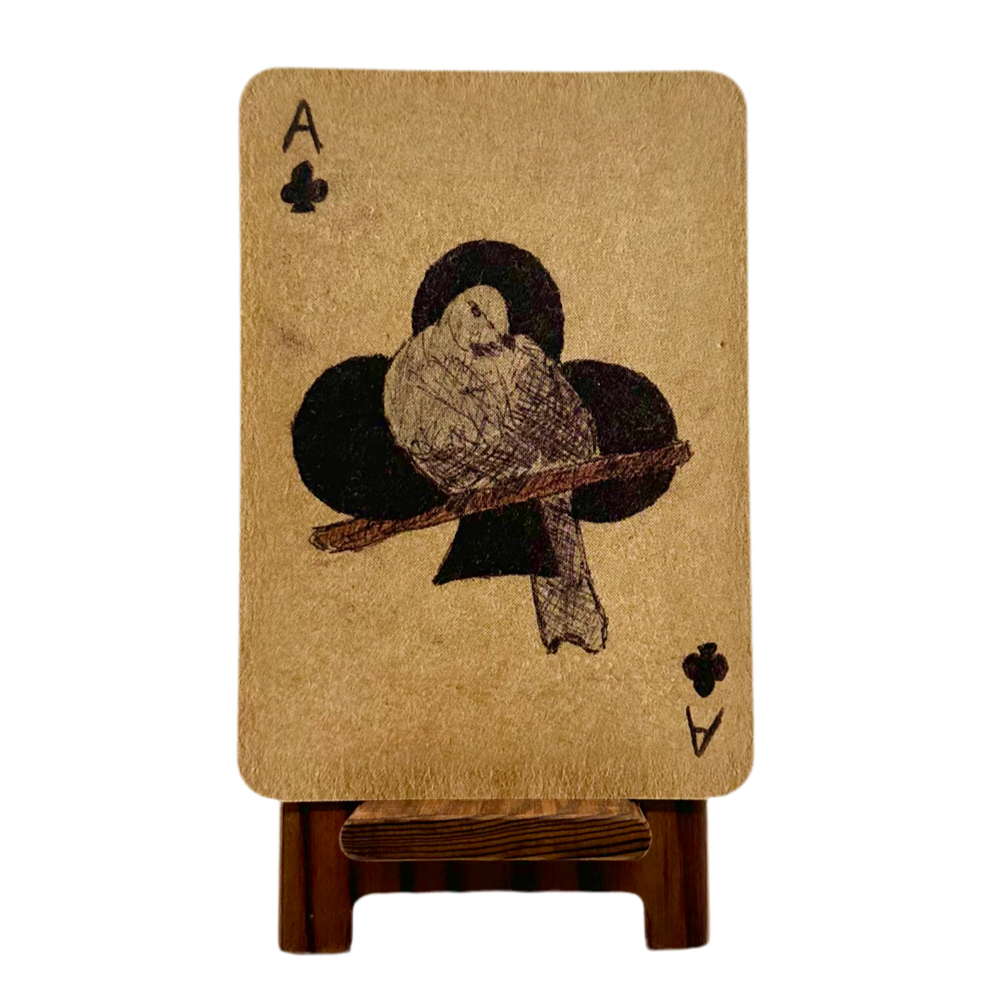 Conjure Cards: Fortune-Telling Card Deck and Guidebook