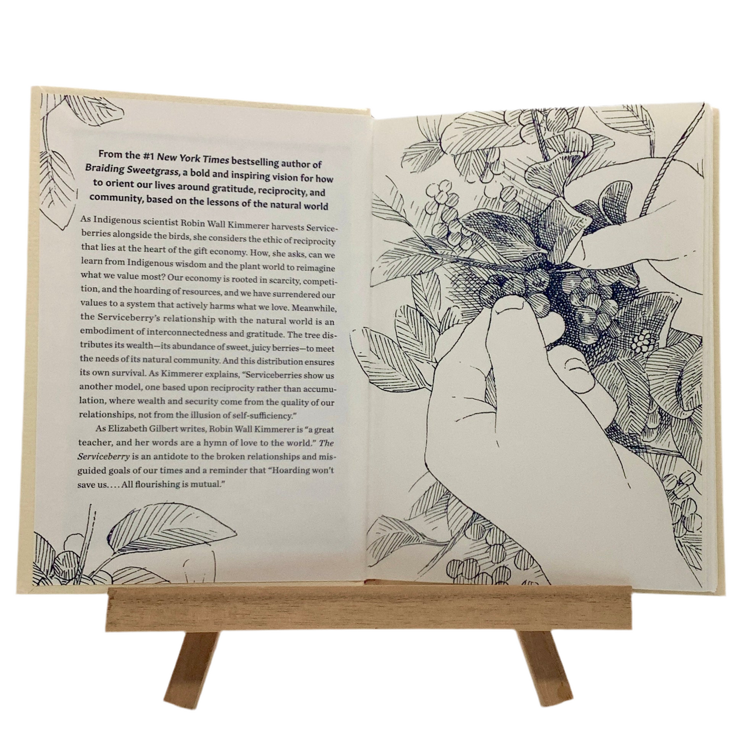 The Serviceberry