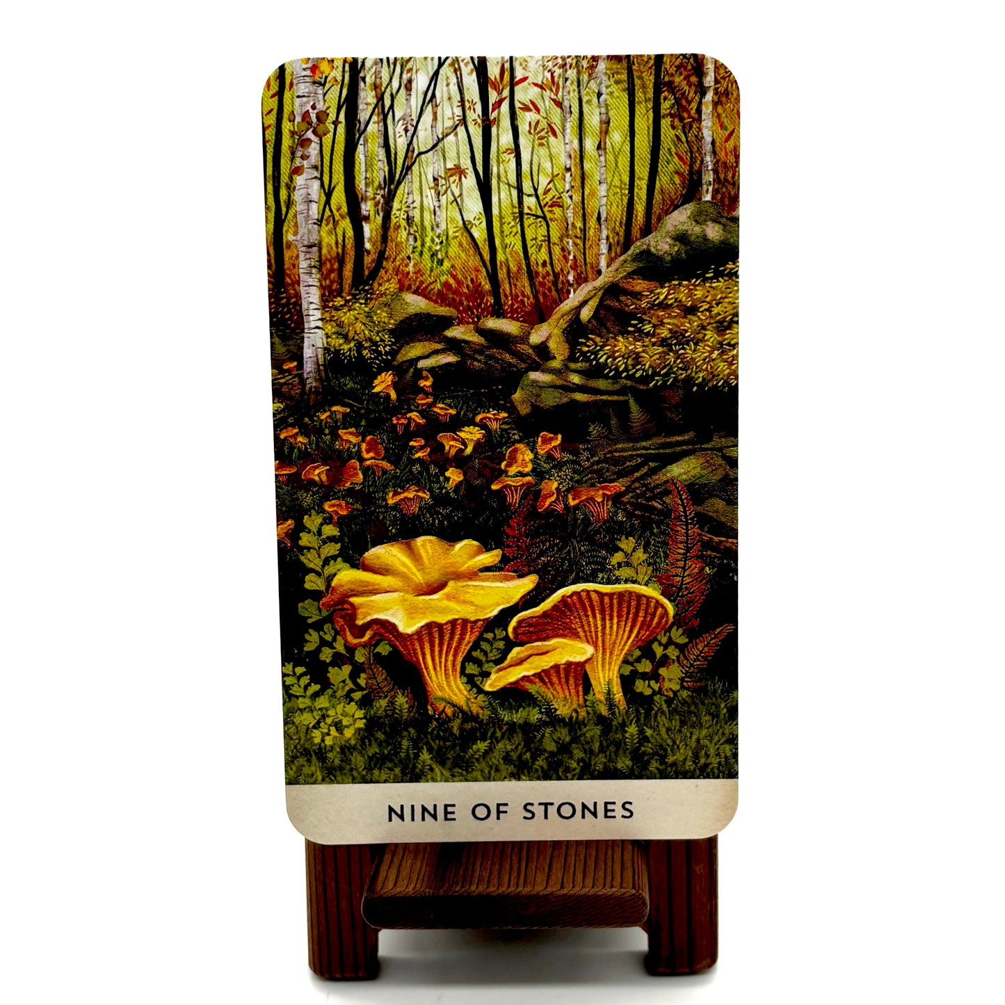 Tarot for the Great Outdoors