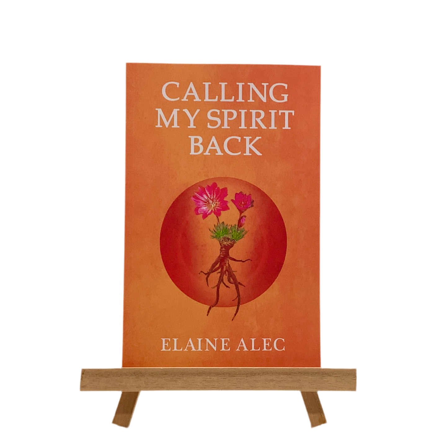 Calling My Spirit Back