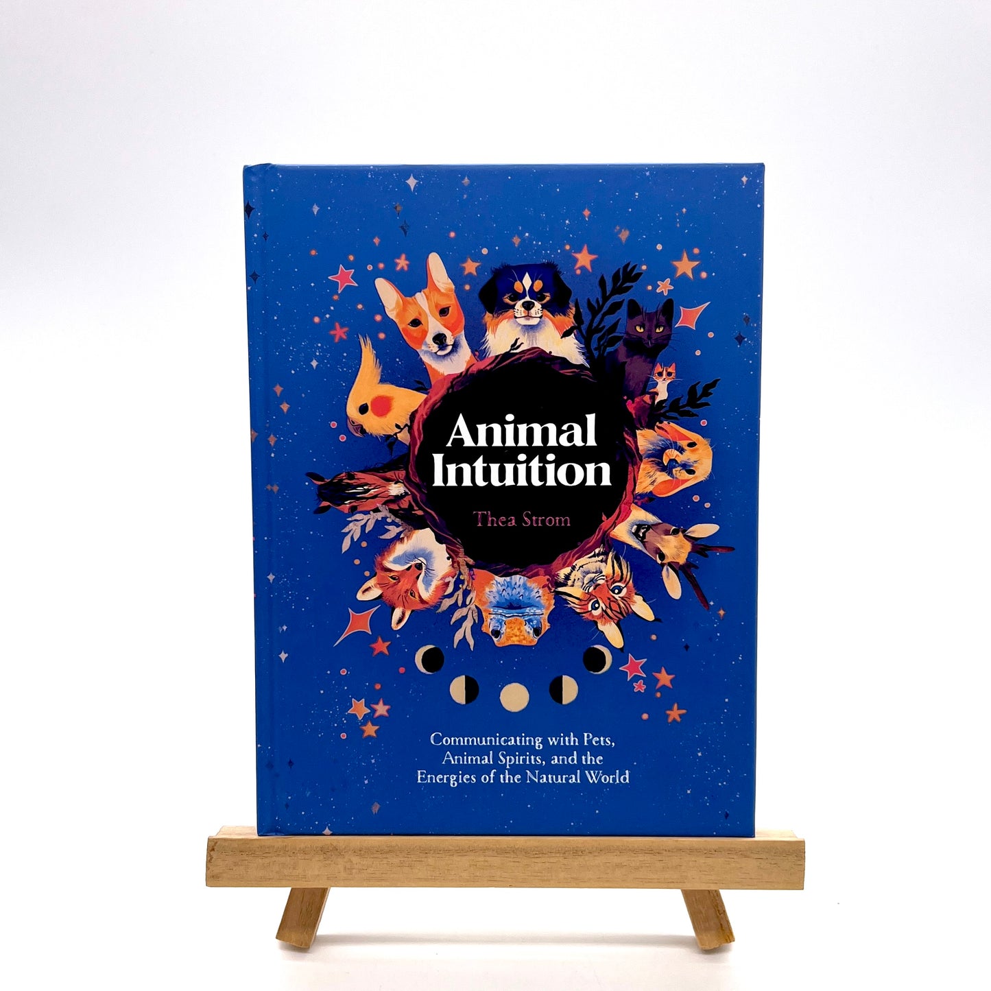 Animal Intuition