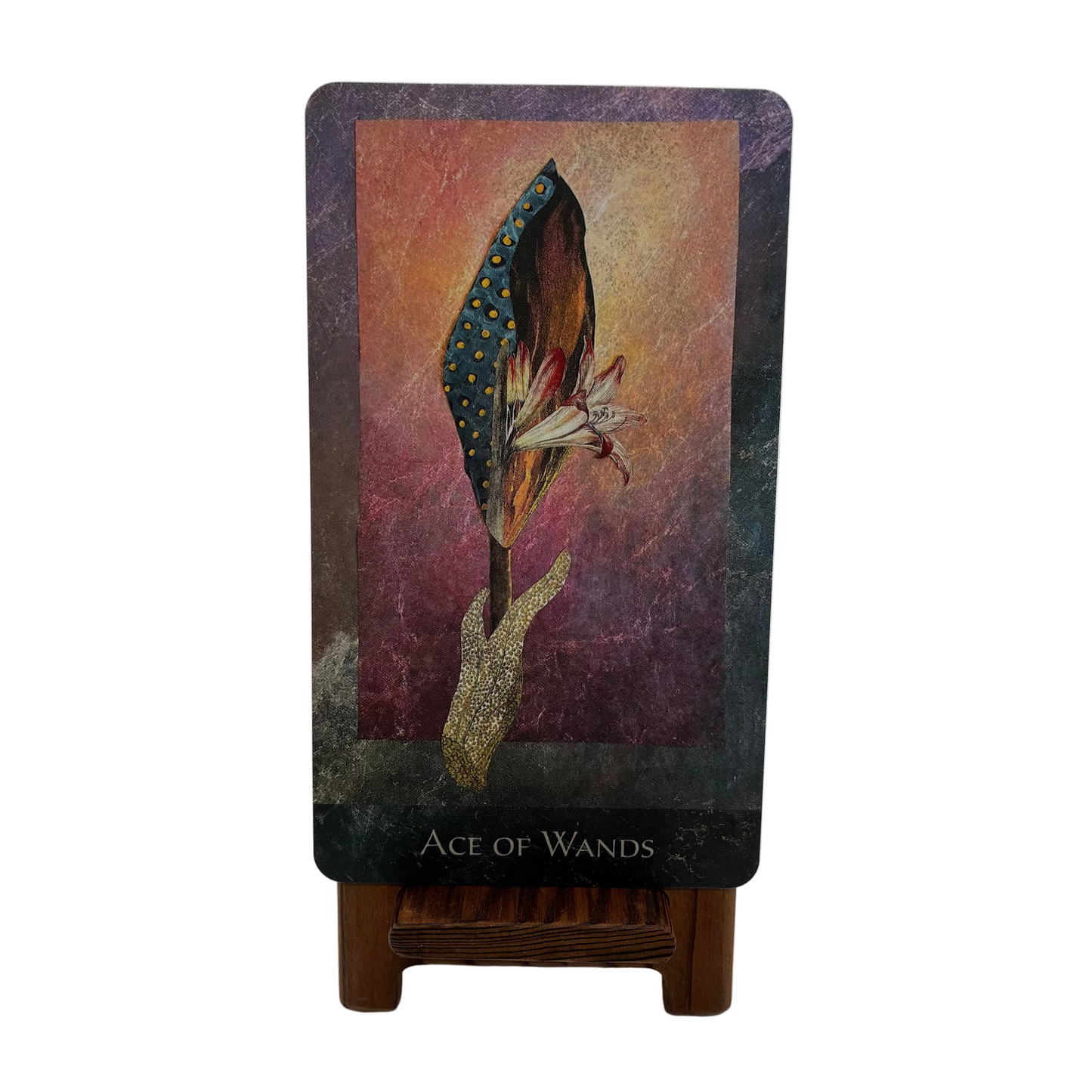 The Rainshadow Tarot