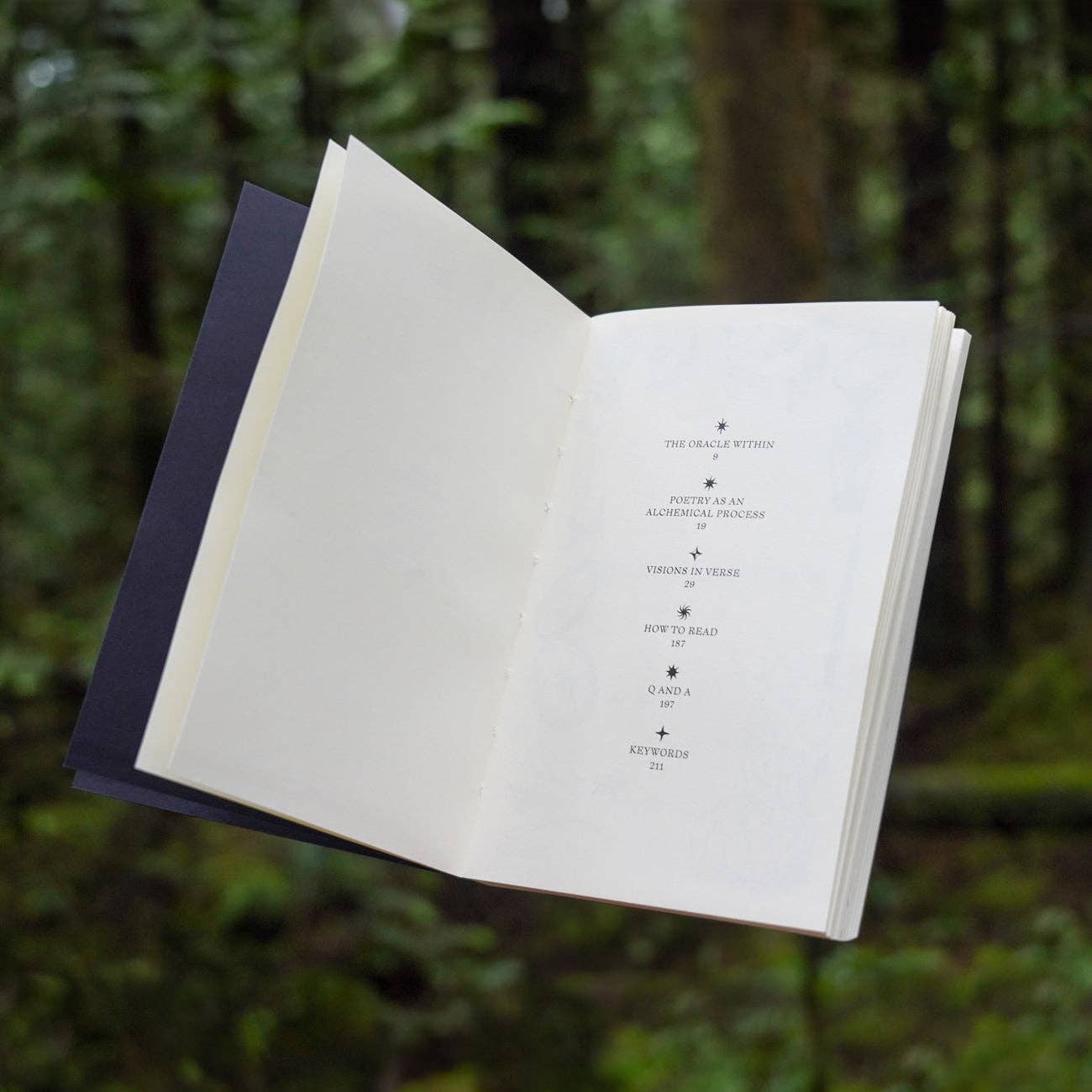 Poesis - Visions in Verse Book