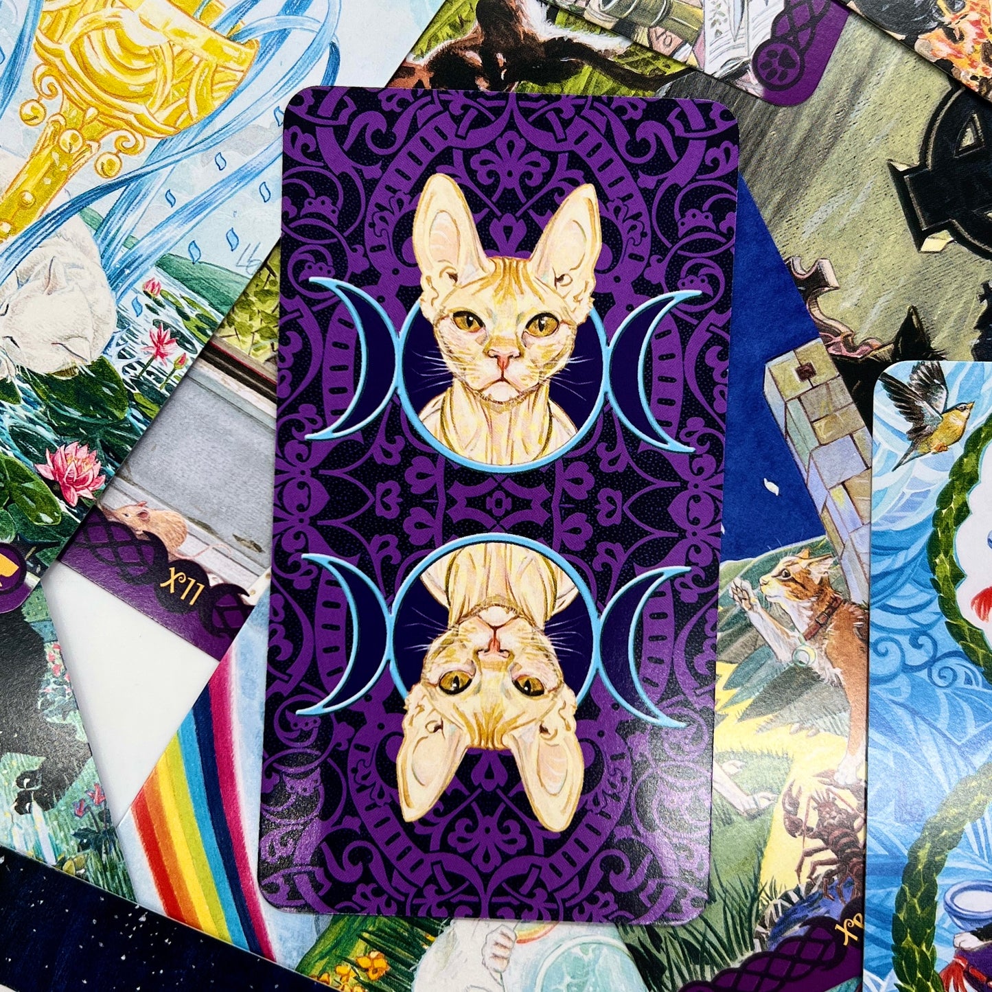 Tarot of Pagan Cats