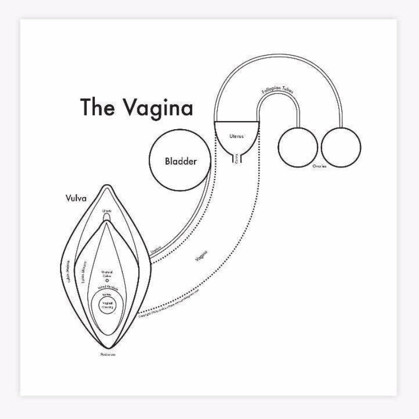 The Vagina Print