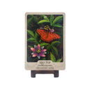The Southern Botanic Oracle