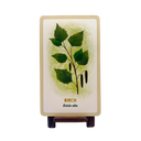 Forest Magic Oracle