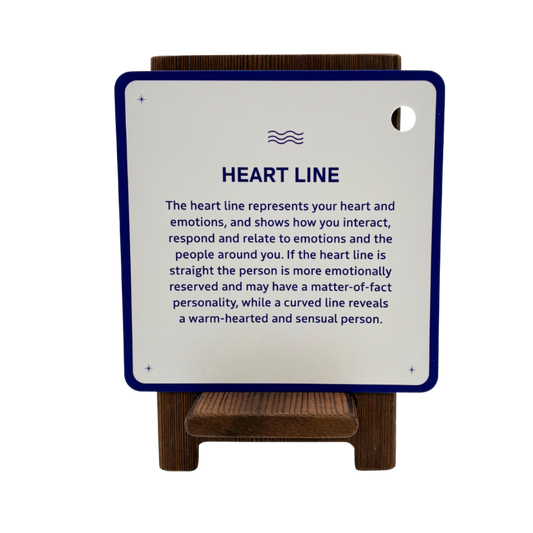 Palmistry Flashcards