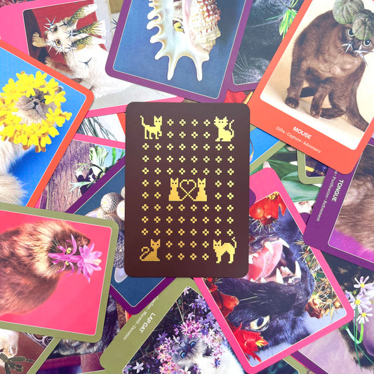 The Cat Oracle: 33 Card Deck and Guidebook