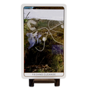 Death Doula Oracle