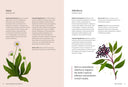 Astro Herbalism