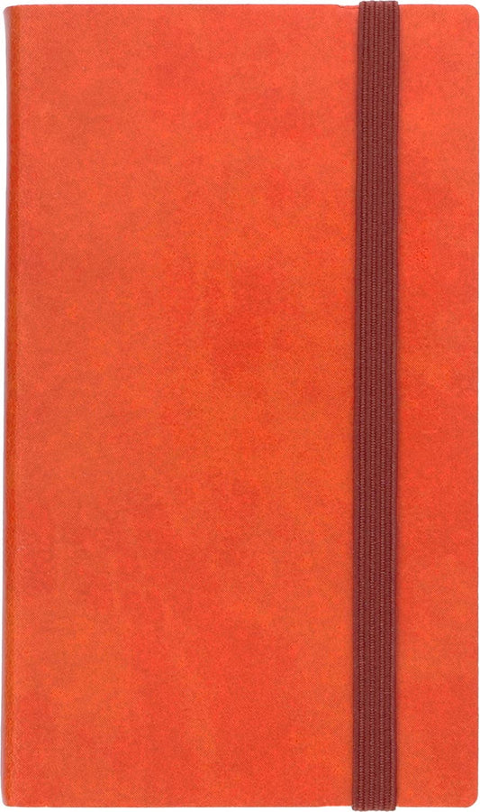 Daily Planner 2025