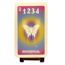The Angel Number Oracle: A 55-Card Deck and Guidebook