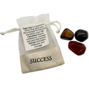 Success Crystal Satchet