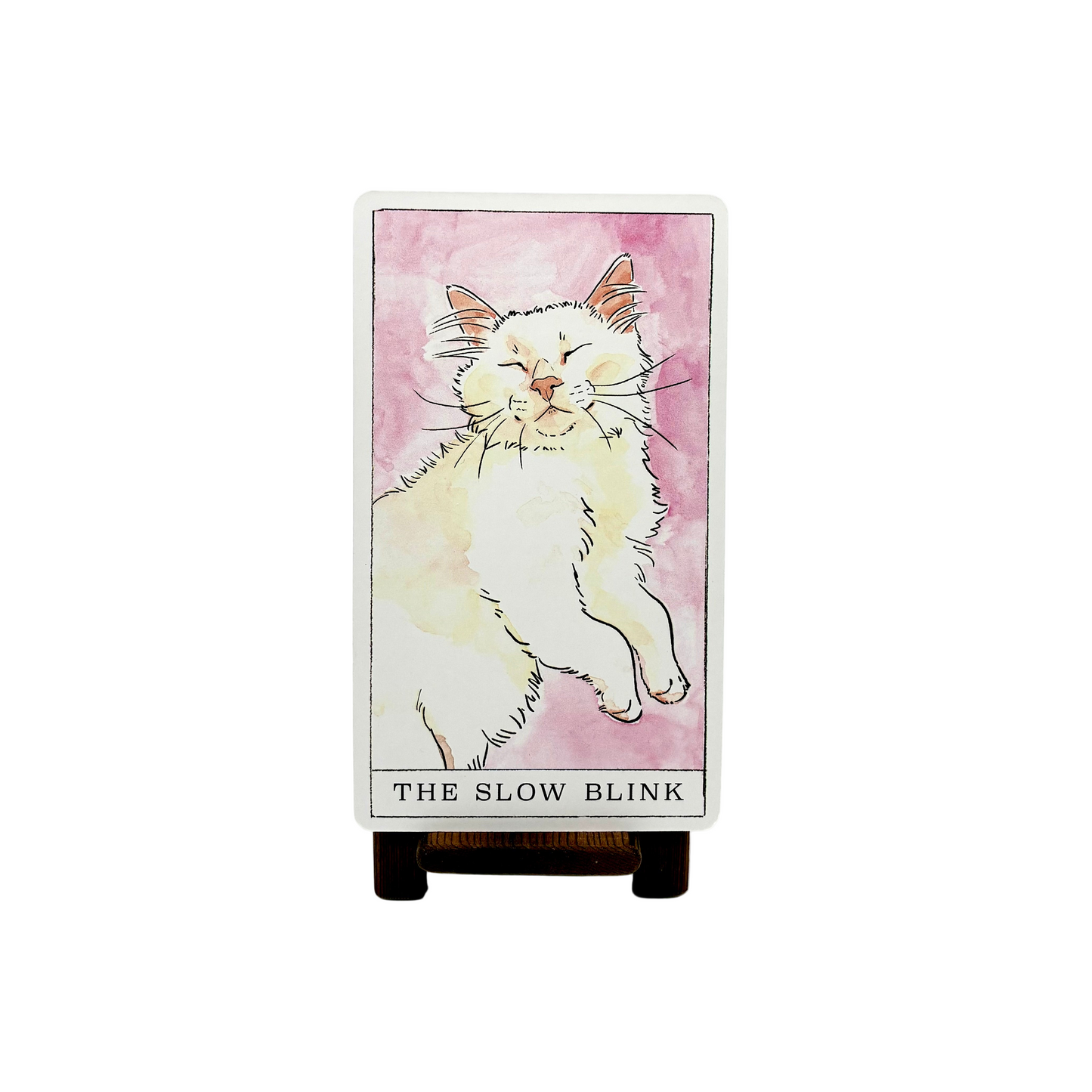 Kitten Oracle Kitten Oracle – Psychic Sister