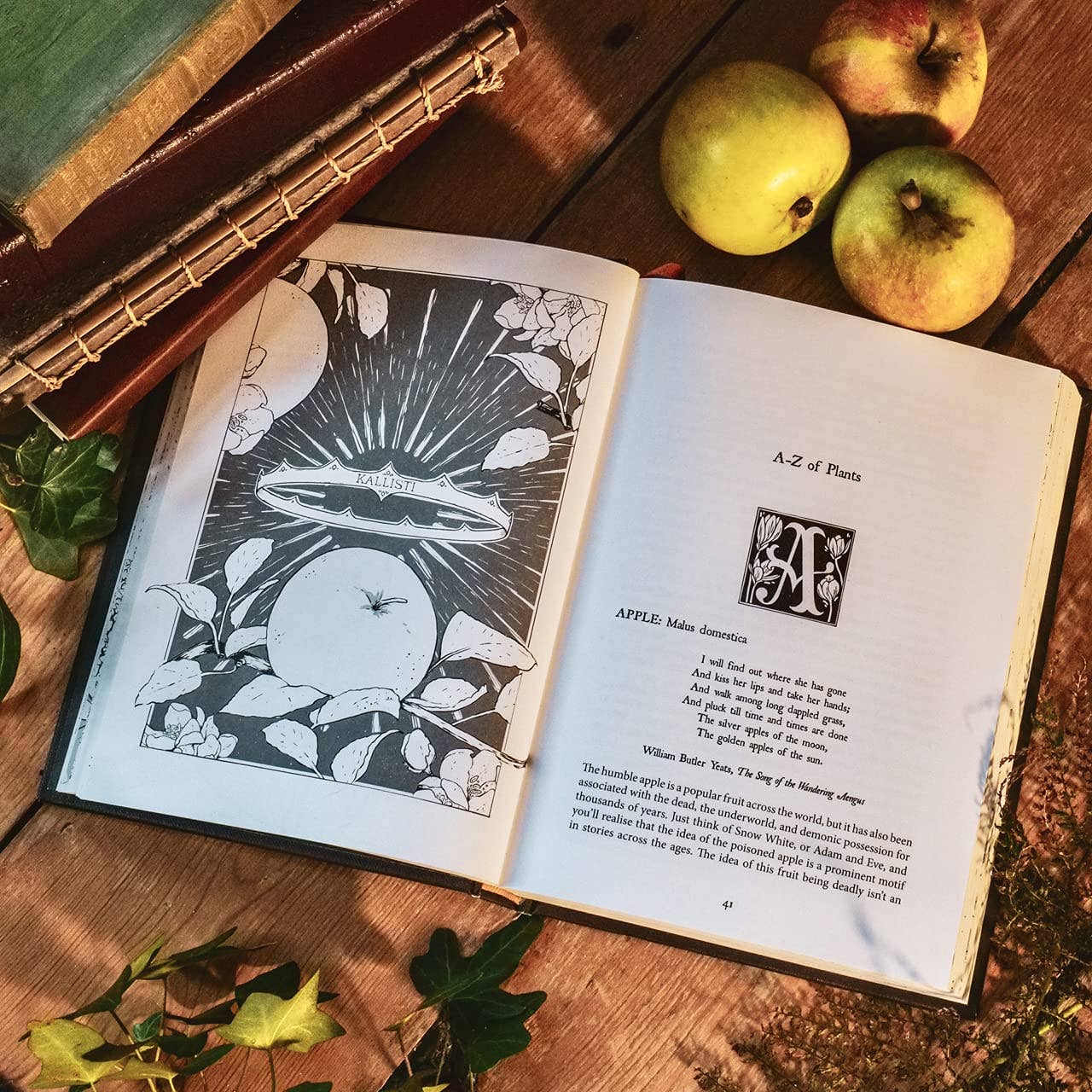 Botanical Curses and Poisons The ShadowLives of Plants (Co Psychic