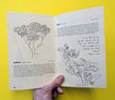 Plants Against the Patriarchy (Zine)