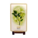 Forest Magic Oracle
