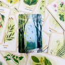 Forest Magic Oracle