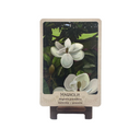 The Southern Botanic Oracle