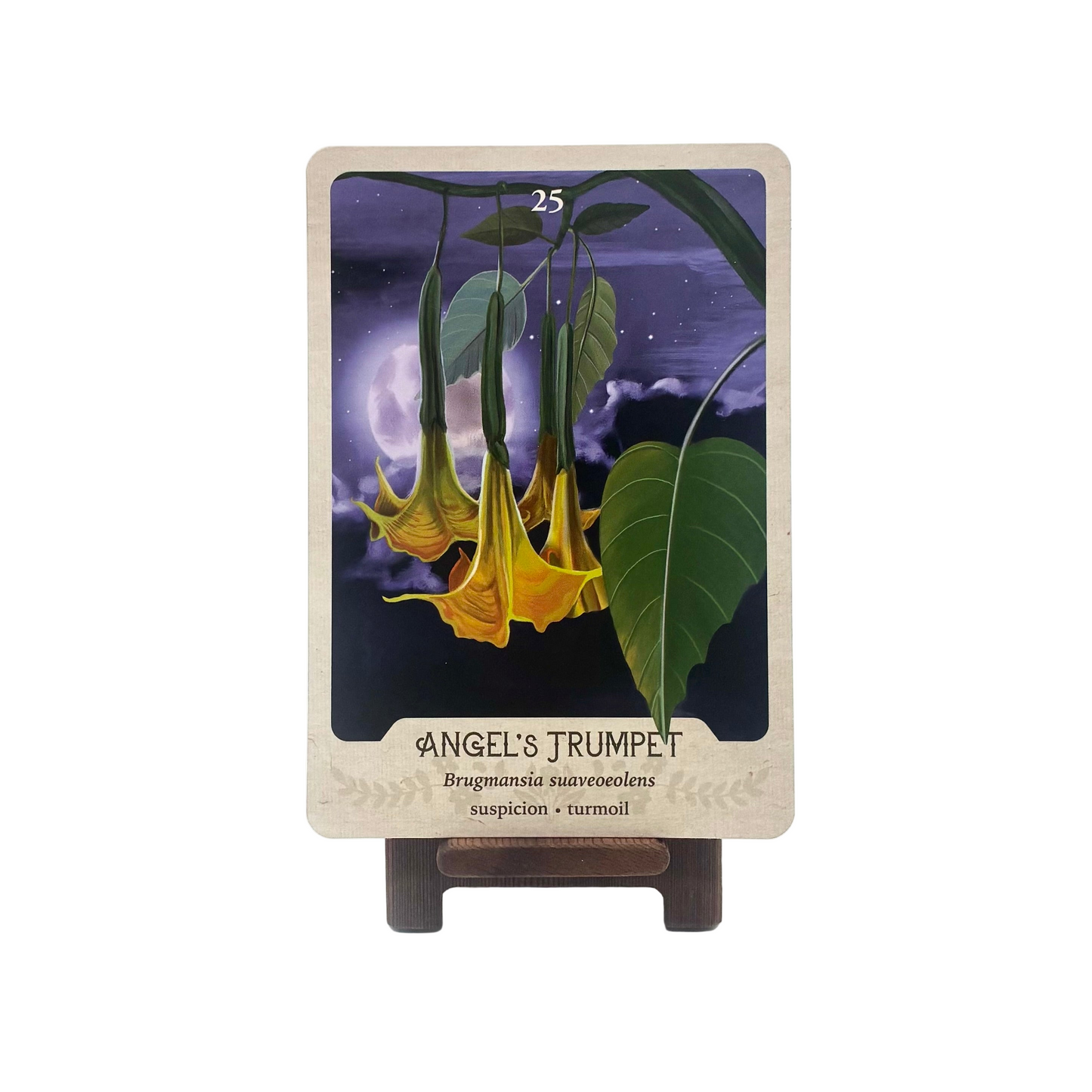 The Southern Botanic Oracle