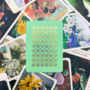 The Flower Oracle: 44 Card Deck and Guidebook