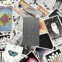 TWU The Wild Unknown Tarot Second Edition Deck & Guidebook