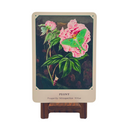 The Flower Oracle: 44 Card Deck and Guidebook