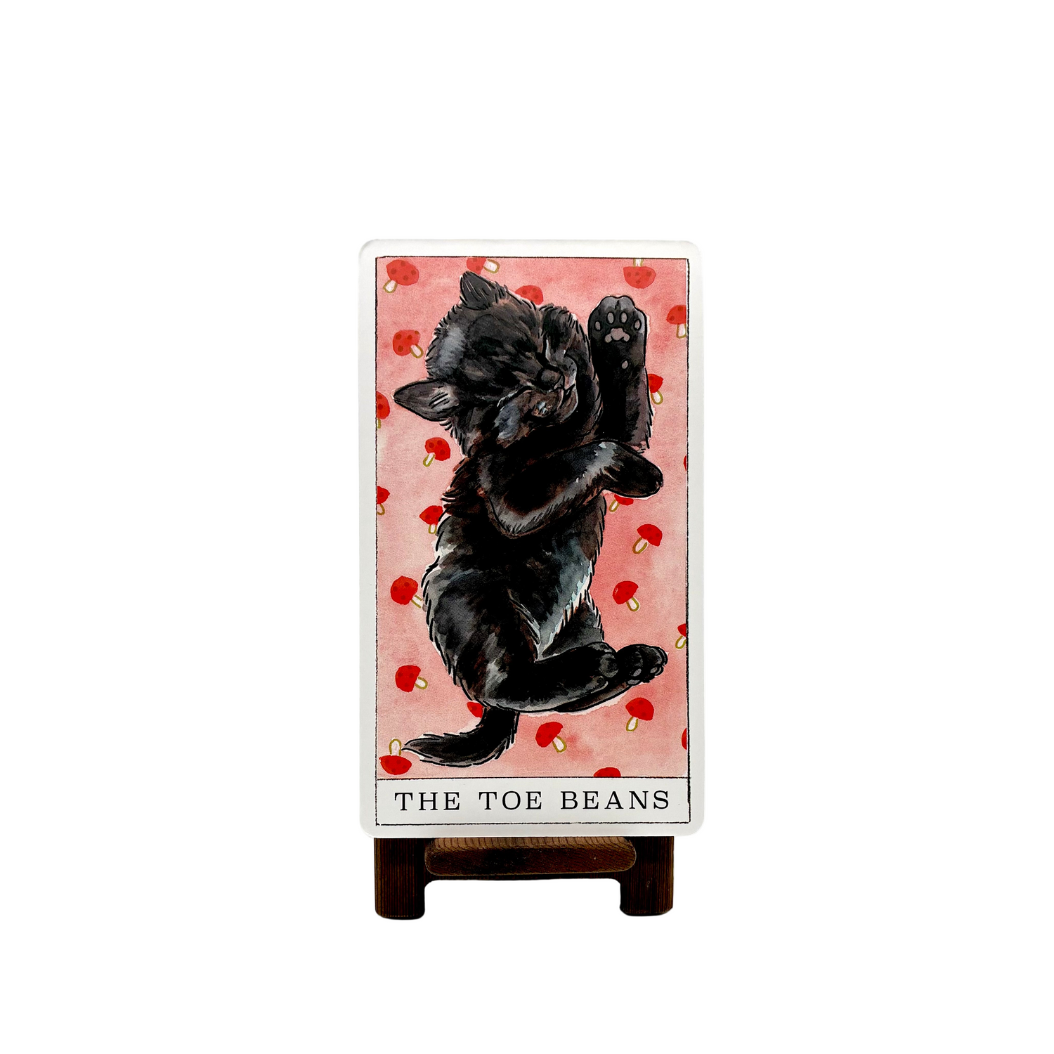 Kitten Oracle Kitten Oracle – Psychic Sister