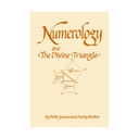 A book cover titled 'Numerology and The Divine Triangle' by Faith Javane and Dusty Bunker, featuring a cream background with brown text and a central geometric triangle diagram.