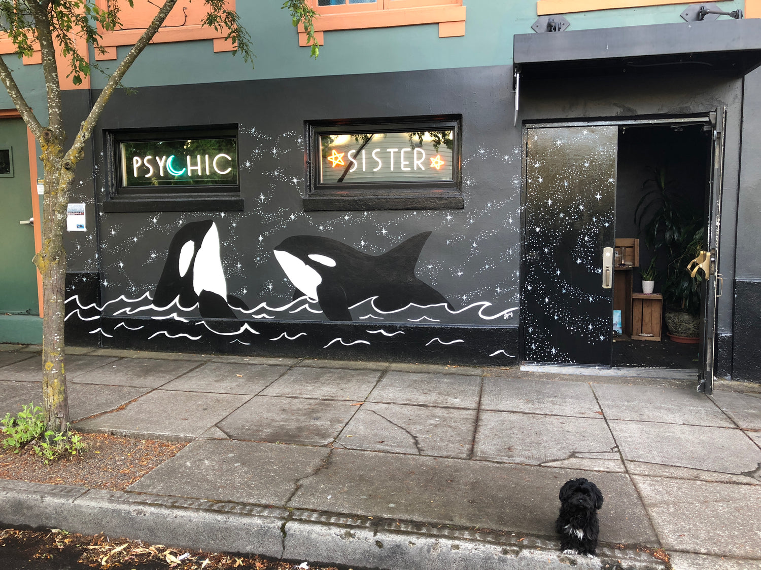 Image of exterior Psychic Sister Portland location with orca mural.