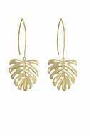 Little Monstera