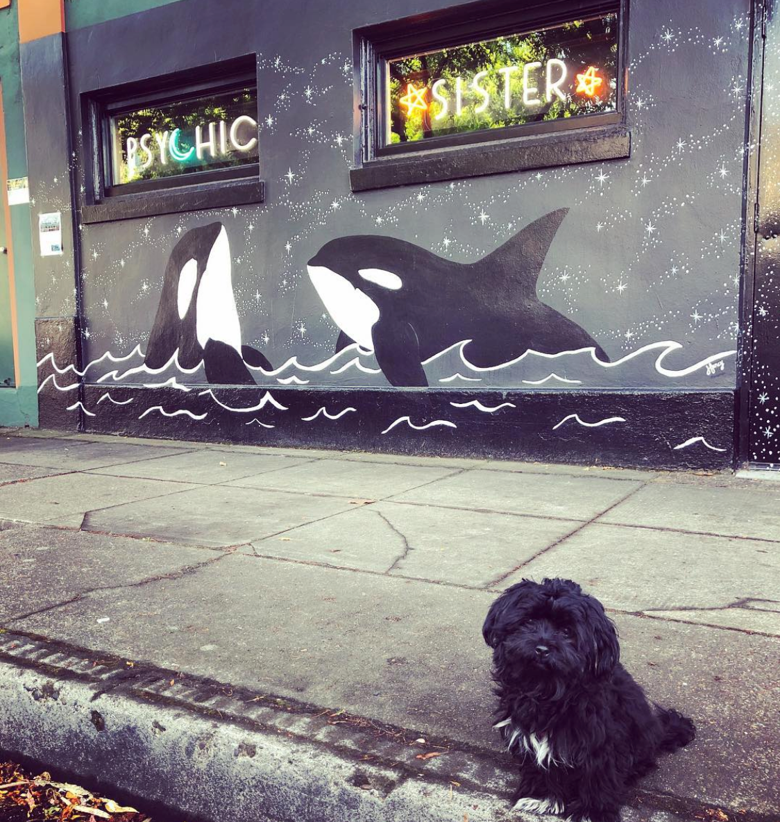 Exterior of Psychic Sister Portland, with orca mural and Purple Rain the dog.