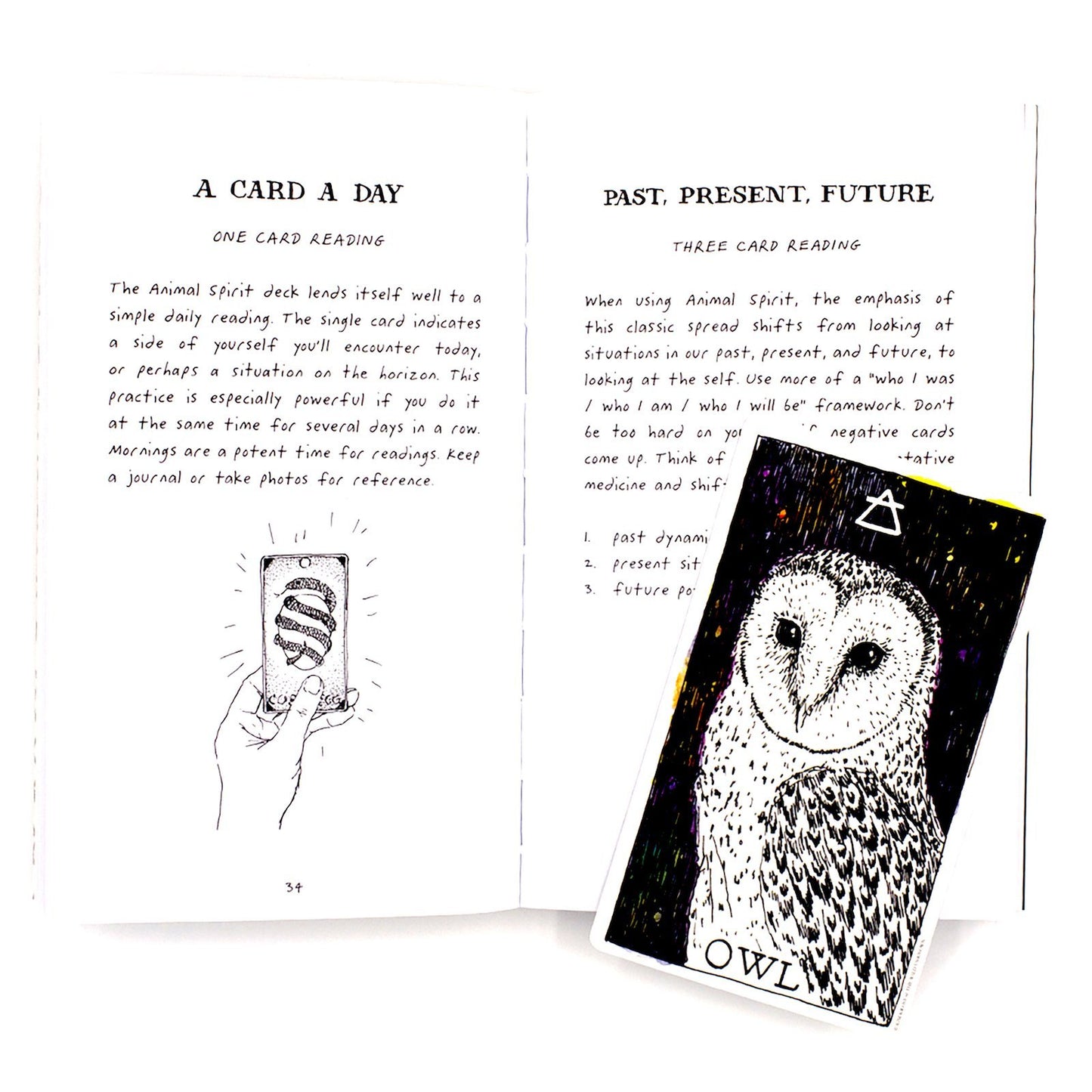 Inside pages of The Wild Unknown Animal Spirit Guidebook.