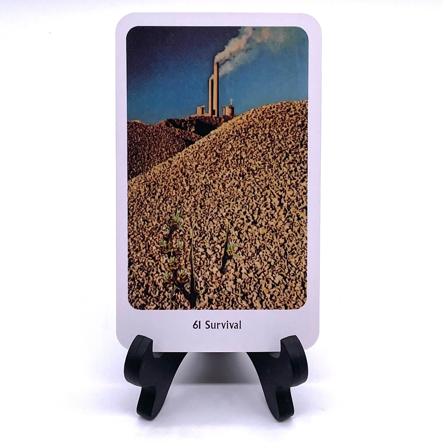 Photo of Card #61, "Survival", featuring collaged images of woodchip piles with smokestacks in the background.