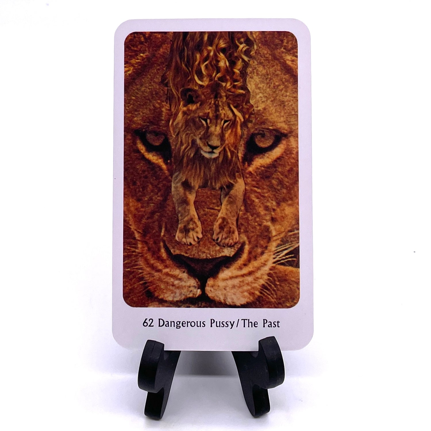 Photo of card #62 "Dangerous Pussy/The Past" featuring collaged images of lions.