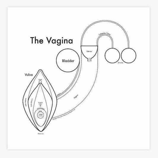 The Vagina Print