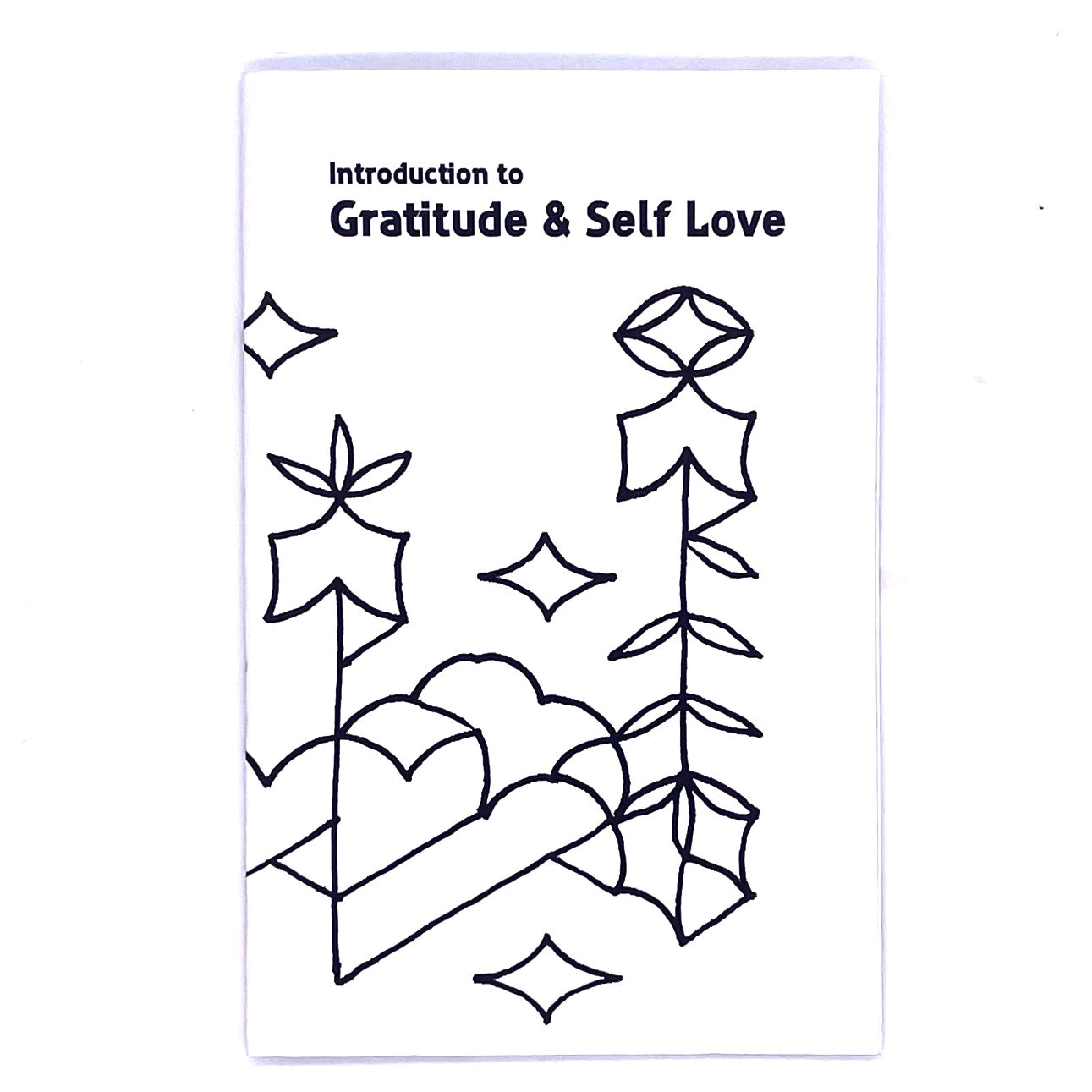 Cover of Introduction to Gratitude and Self Love.
