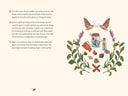 Pages from The Little Witch's Book of Spells by Ariel Kusby.
